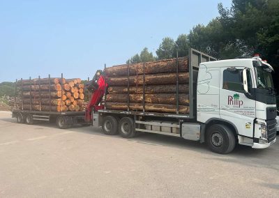 Camion forestier VOLVO avec plateau et grue