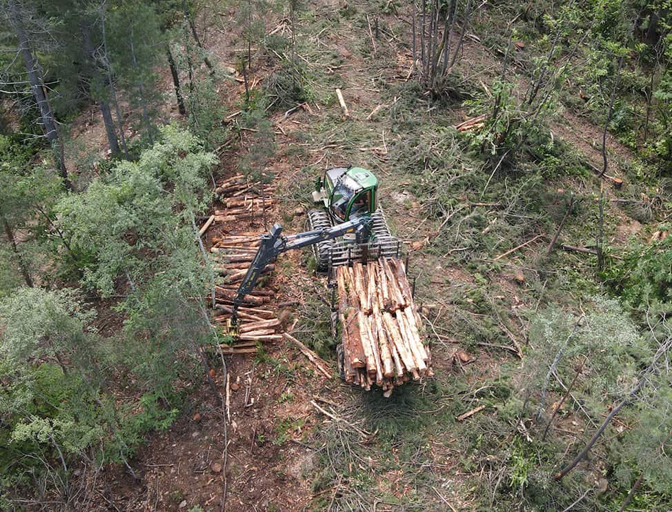 Découvrez notre service d'exploitation forestière dans les Cévennes