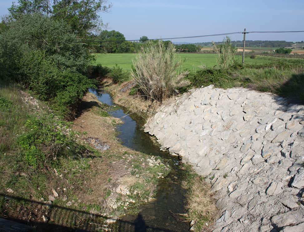 Découvrez notre réalisation de ripisylve sur l'aigalade du Vidourle