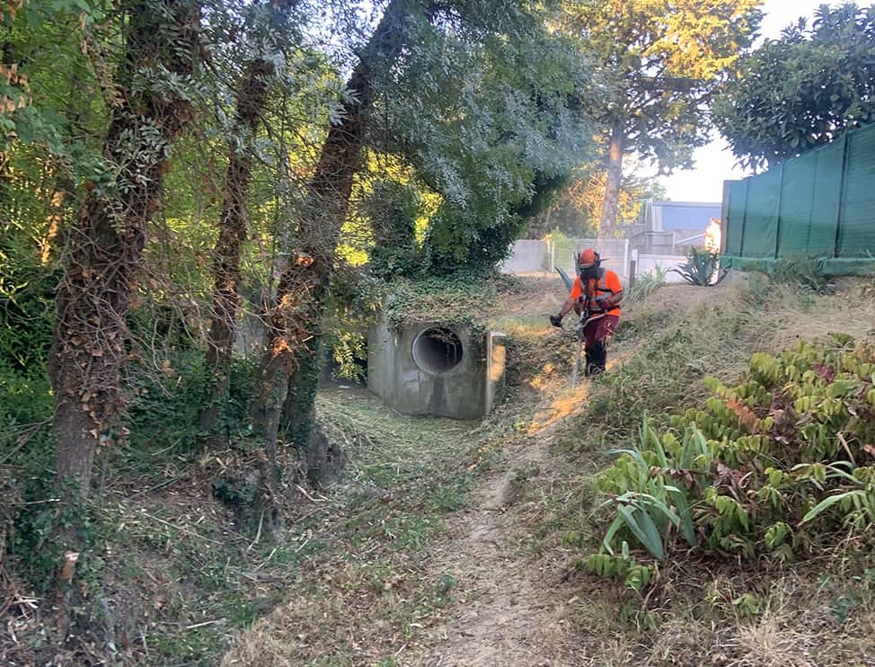 Réalisation d'un débroussaillage manuel dans un fossé  