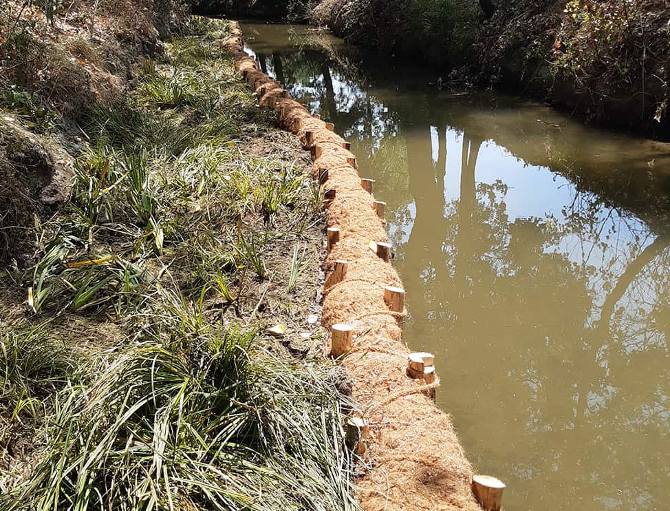 Réalisation d'une reconquête écologique à Castelnaudary