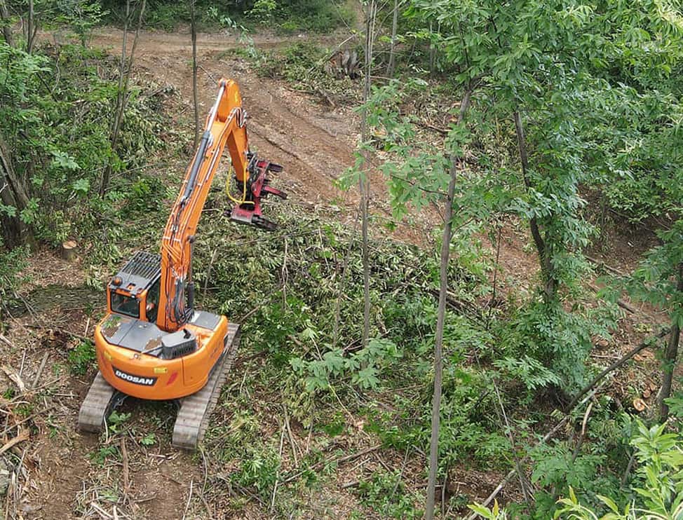 Nous possédons des pelles mécanique et cisailles pour les abattages en forêt