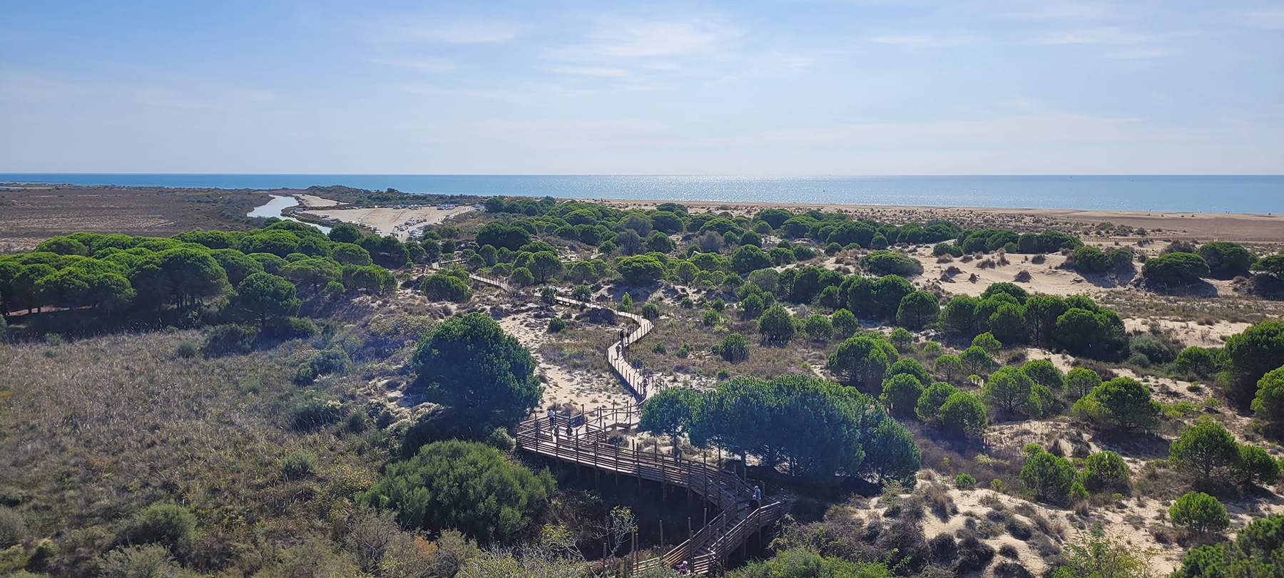 Plage de l'Espiguette