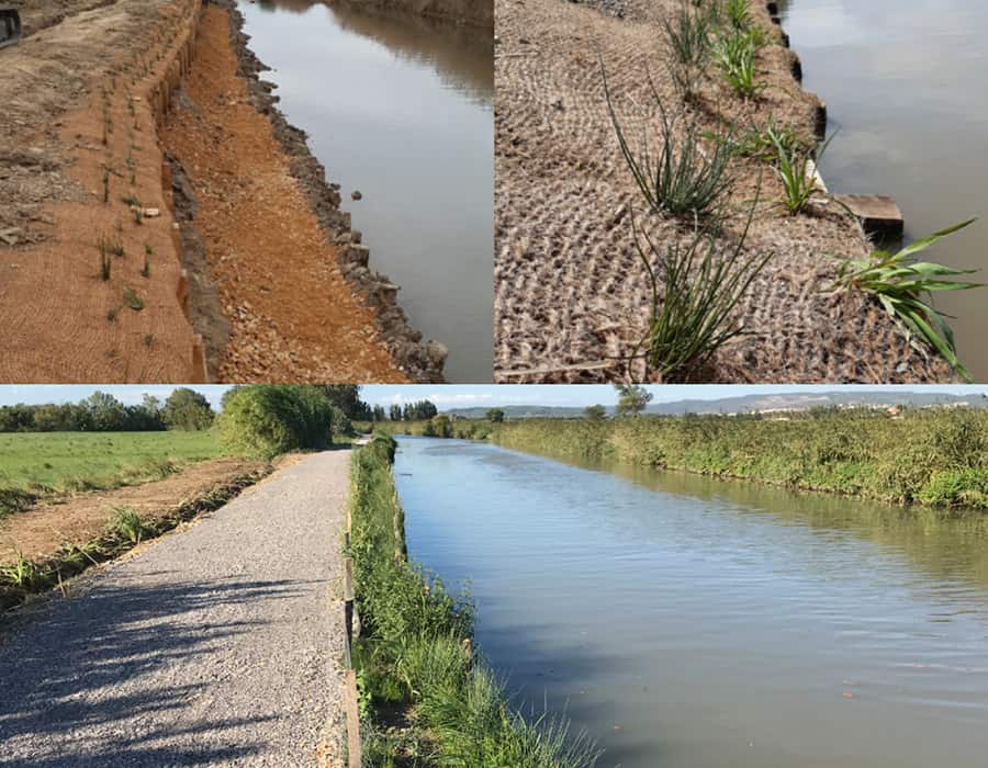 Découvrez notre service de génie végétale réalisable sur Narbonne et ses alentours