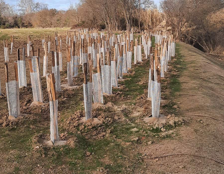 Service de plantation en génie écologique par Philipp Frères